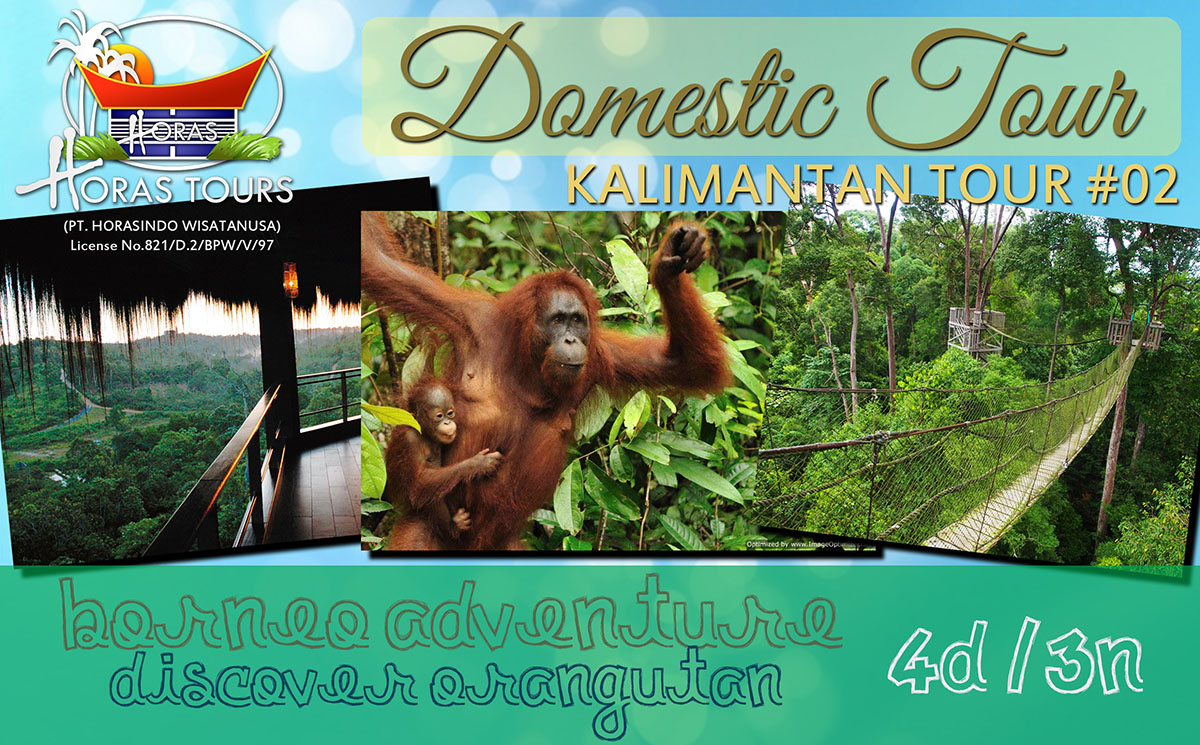 Indonesia tour - Meet Orang Utan Kalimantan Borneo and Orangutan